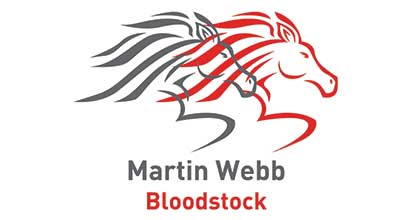 Martin Webb Bloodstock